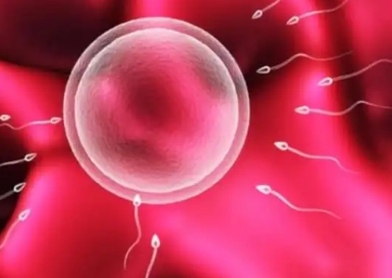 上海试管做三代生个孩子需要多少钱?