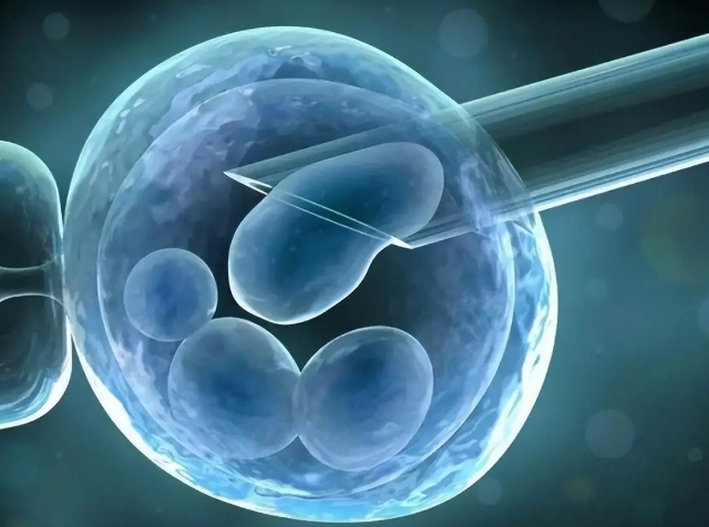 上海做试管多少钱?